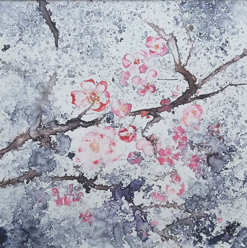 Fleurs de cerisier