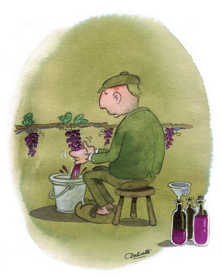 La traite des vignes