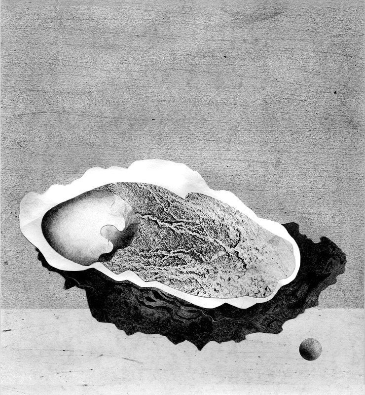 oyster