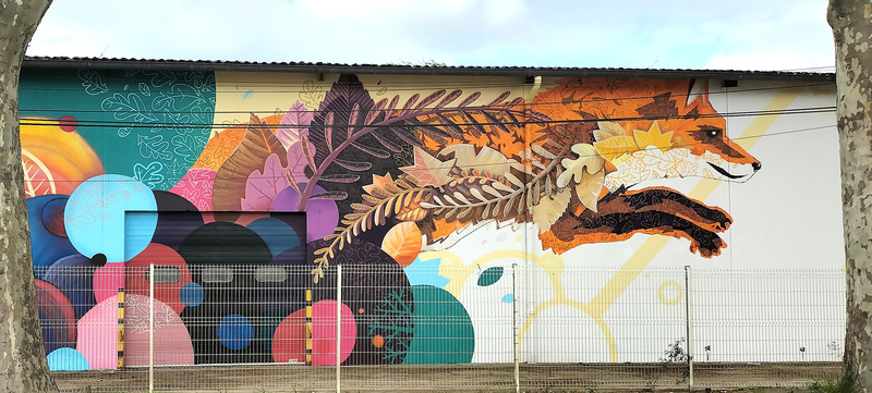 Feather fox 