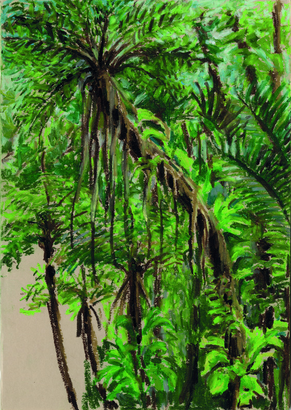 Forêt tropicale des troisièmes chutes du Carbet, parc national de la Soufrière, Guadeloupe