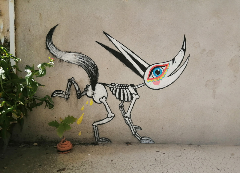 Coylou(p) à l'UEMO st Malo