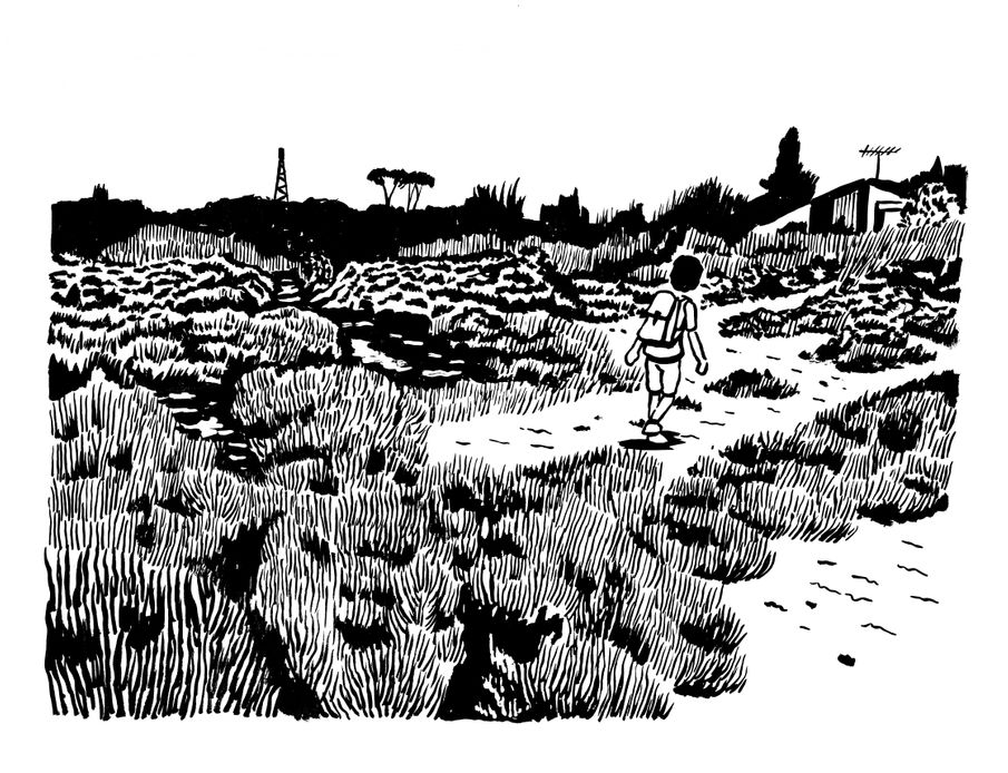 Le bord de l'étang