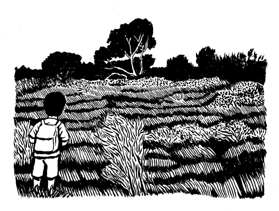 Paysage dramatique