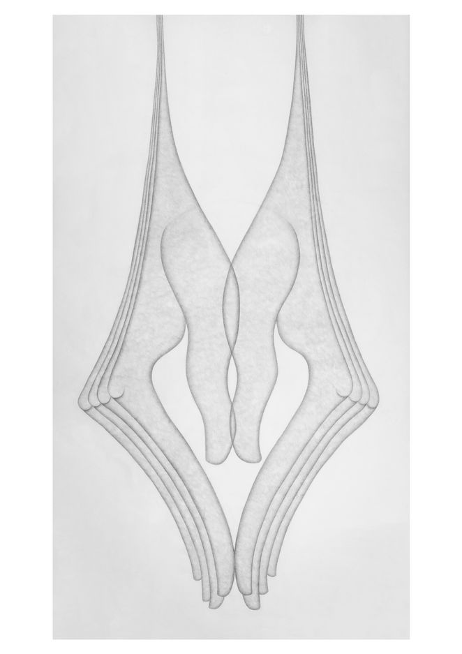 Chiroptera