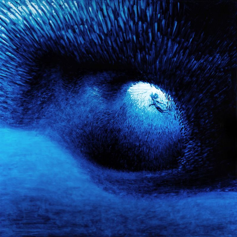 Shoal of knowledge