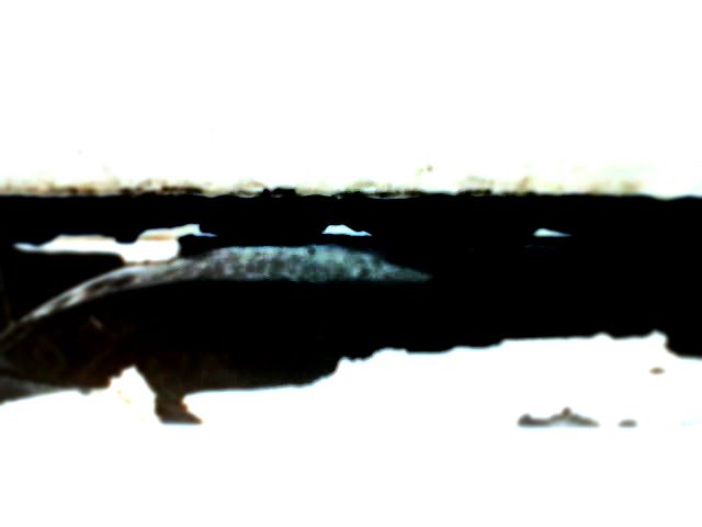  IN ABSTRACTIONS & MINIMALISM INPHOTOSERIES