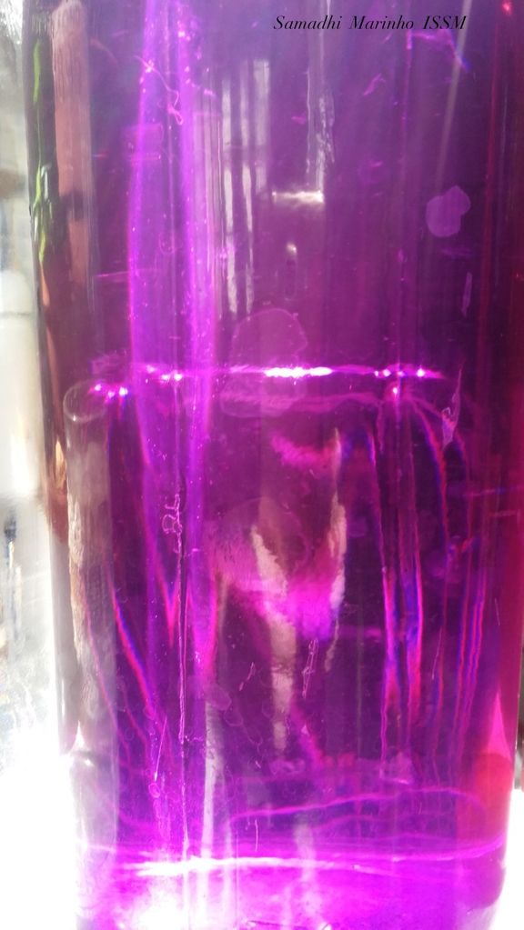 IN MOTION OF LIGHT INSIDE OF BOTTLES