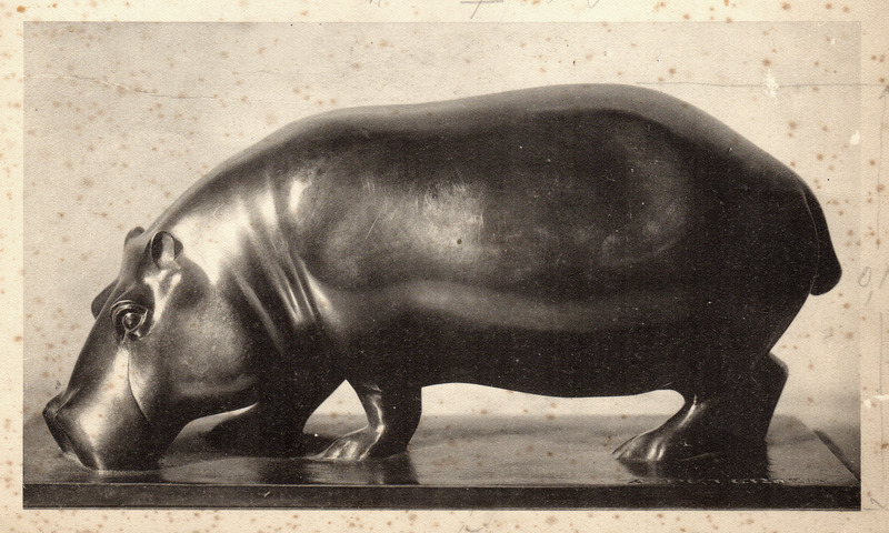 Hippopotame