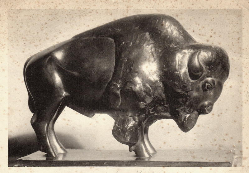 Bison