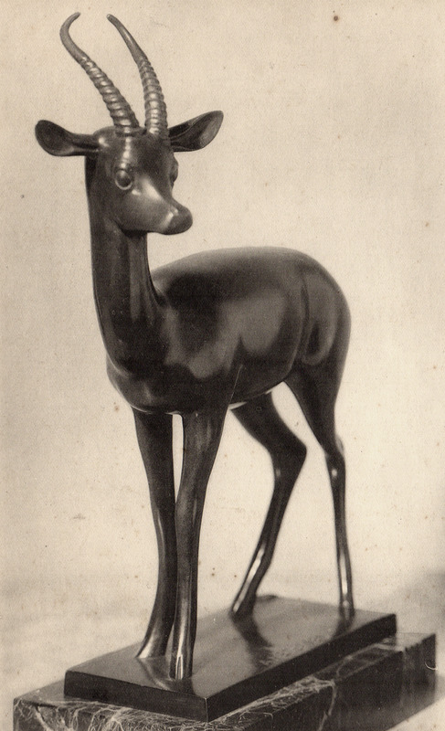 ANTILOPE KOB ou COBE
