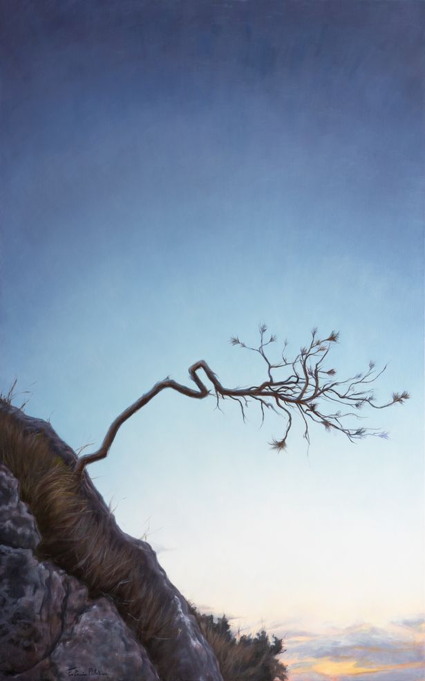 L’Arbre fragile