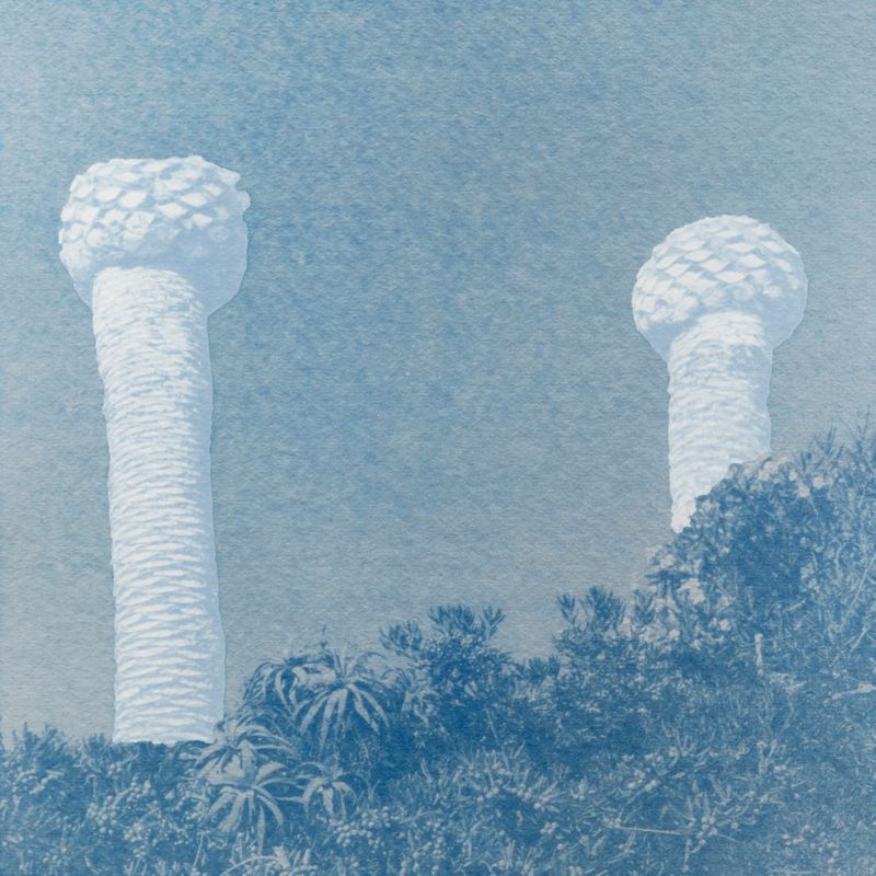 Myriade - Away Leaves V