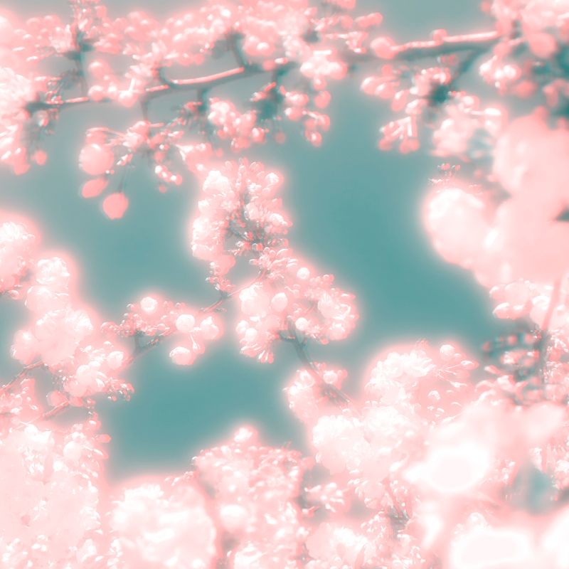 Myriade - The New World III