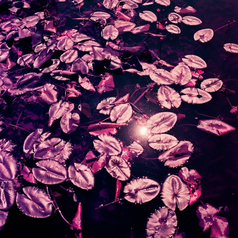 Myriade - The New World II