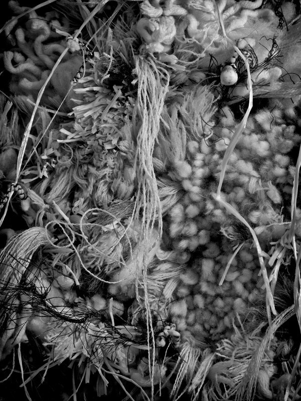 Epiphyte (détail)