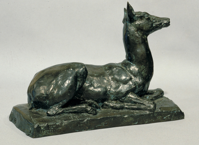 Biche couchée