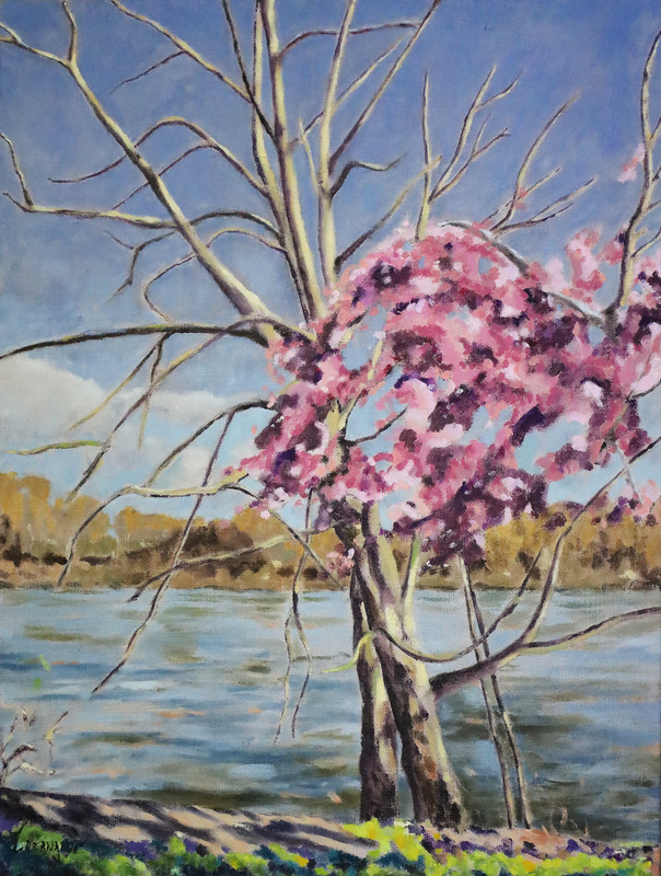Bords de Seine Printemps
