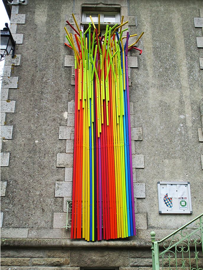 plante grimpante
