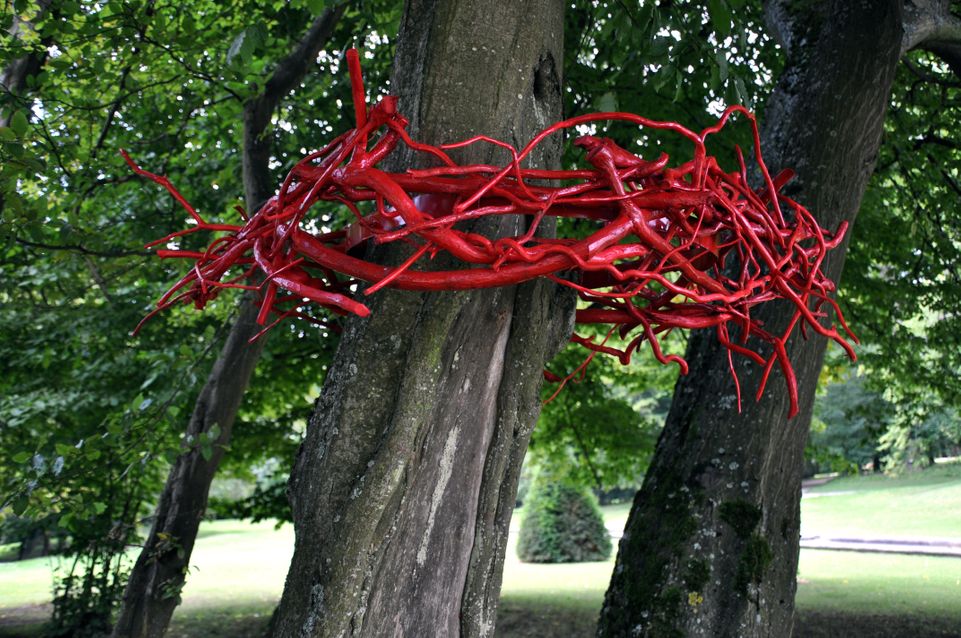 Couronne d'épines