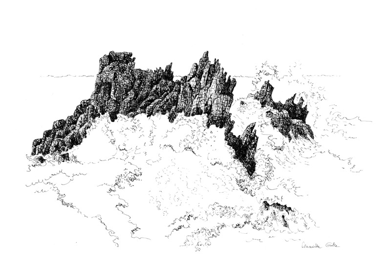 48èmes Agissants #3