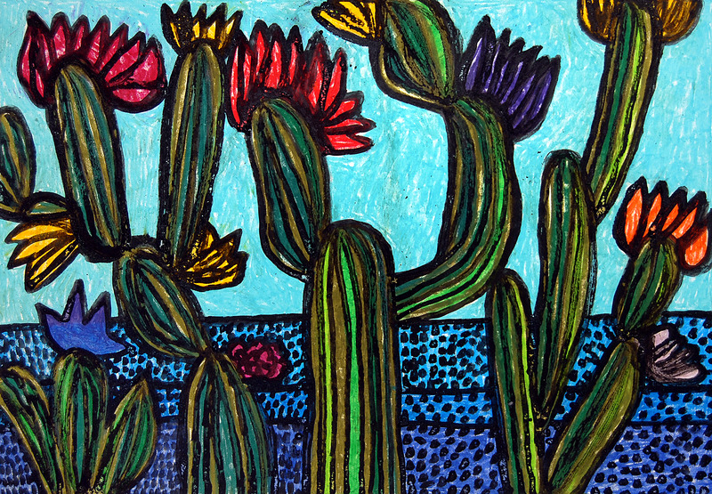 Cactus Bay