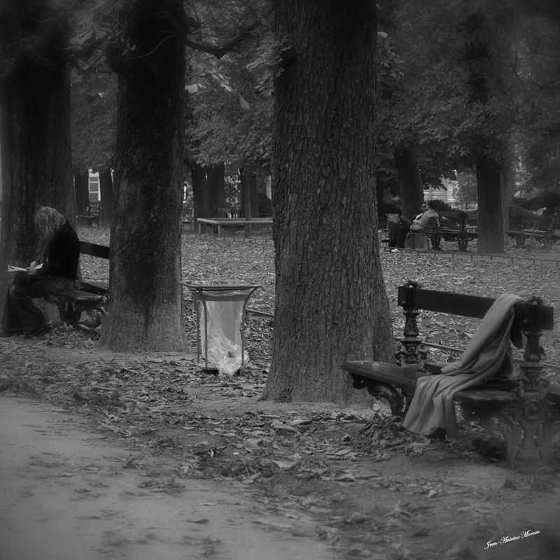Jardin du Luxembourg - Paris